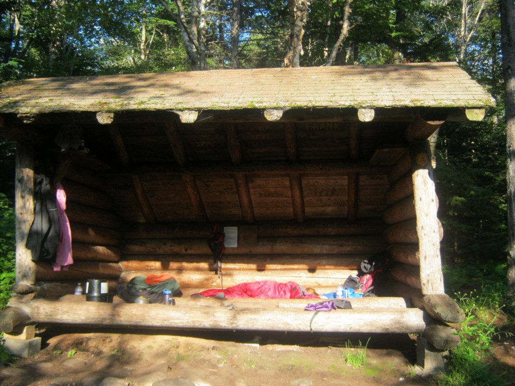 Wild Thoughts in the&nbsp;Wild